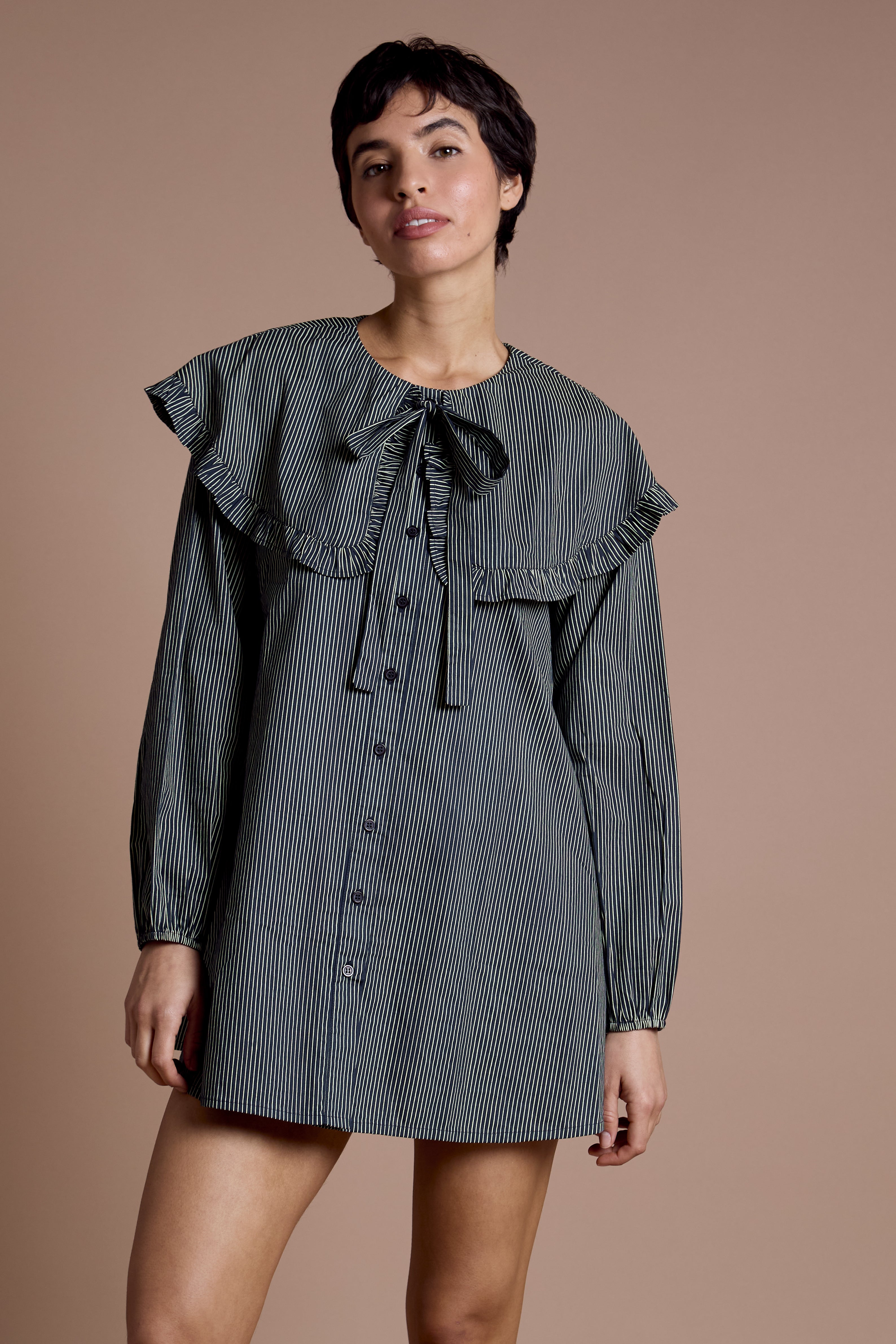 Sylvie Oversized Collar Dress