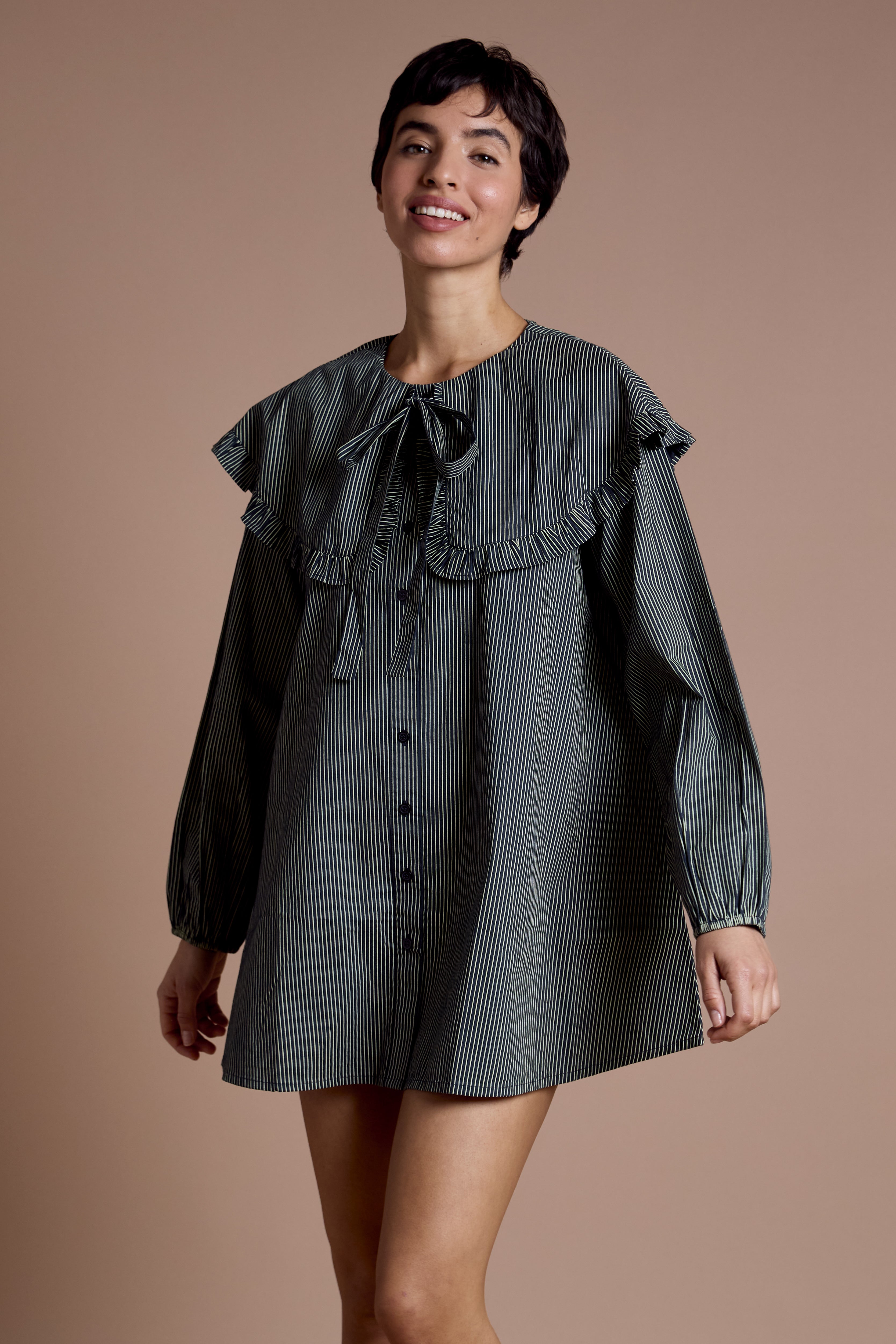 Sylvie Oversized Collar Dress