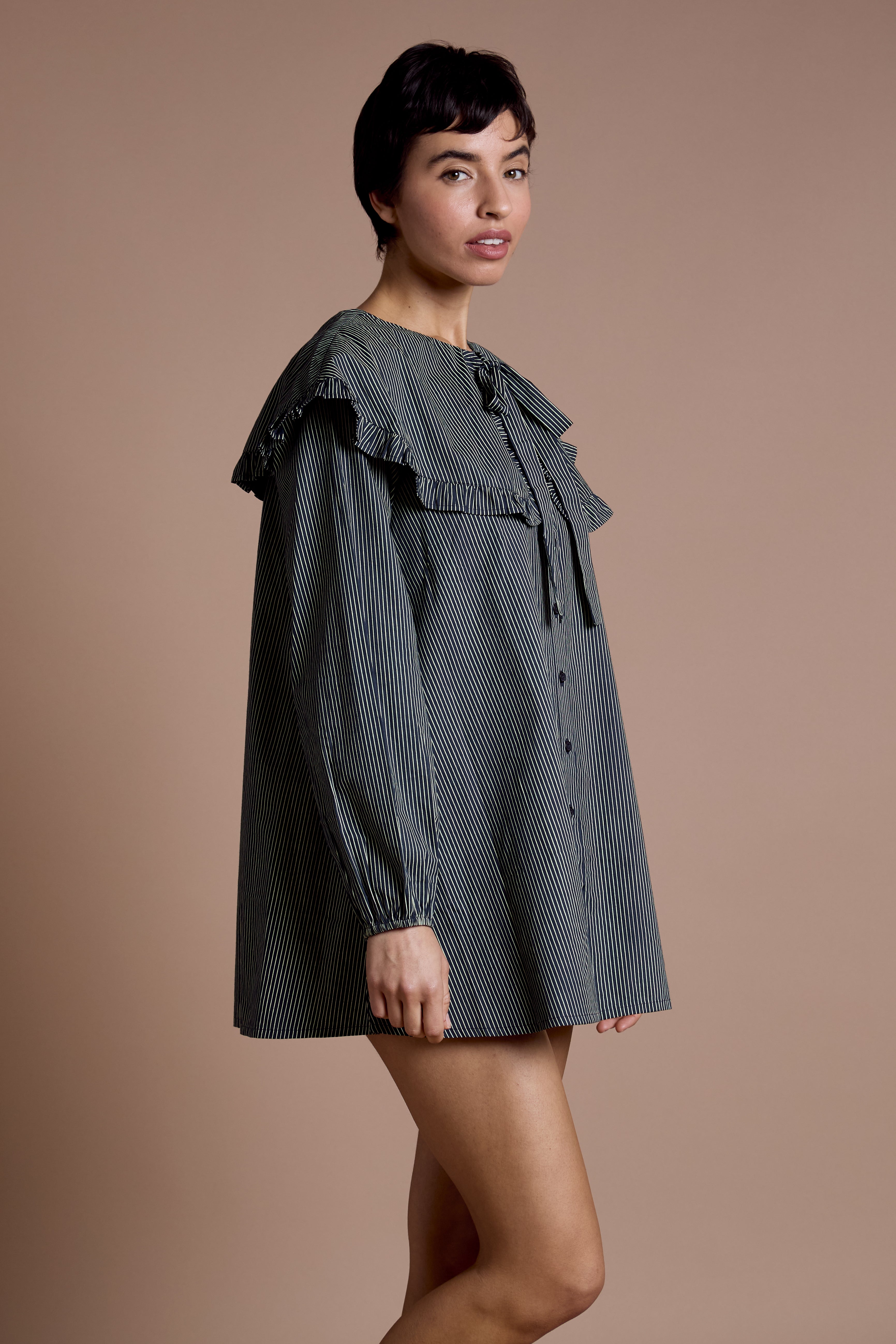 Sylvie Oversized Collar Dress