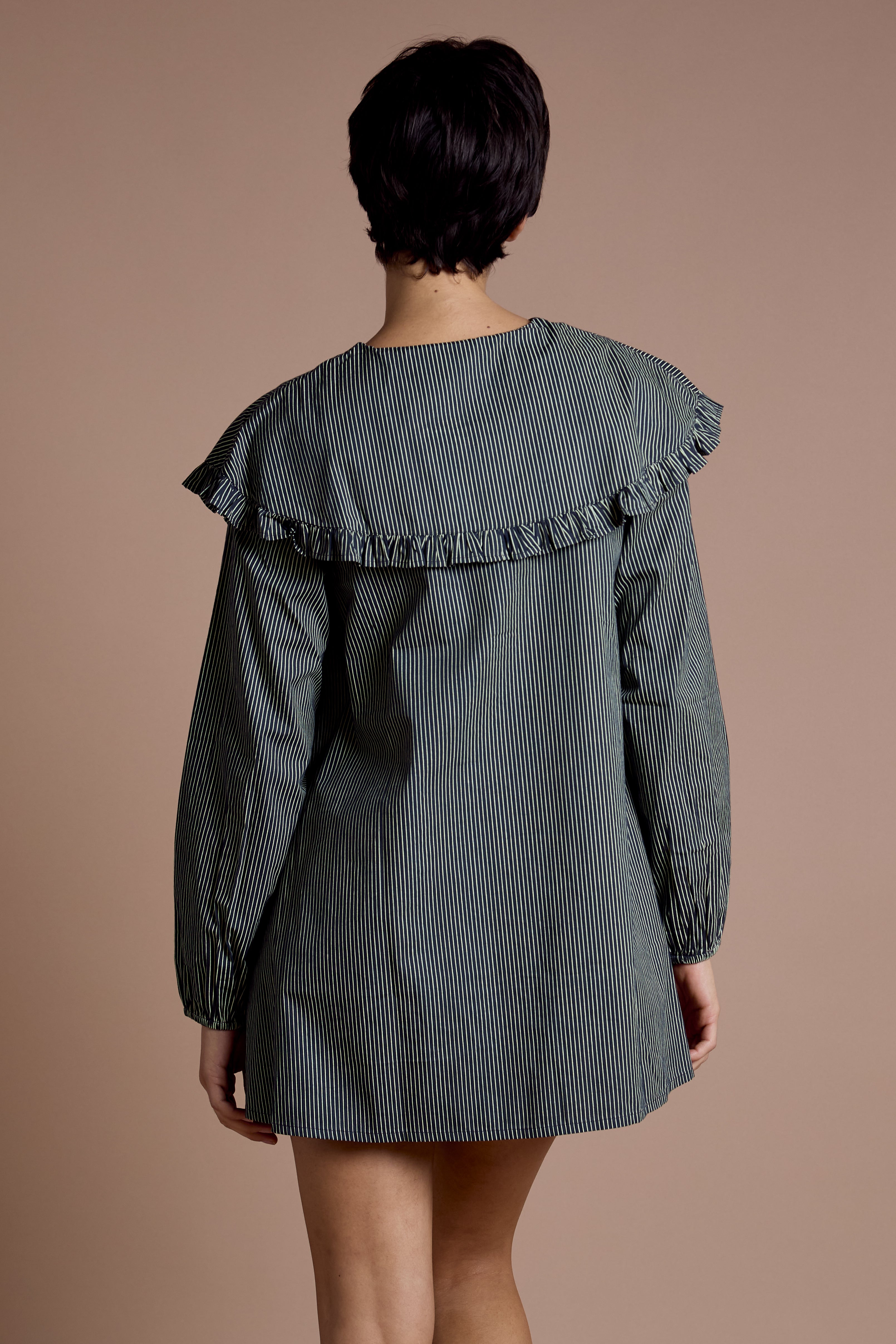 Sylvie Oversized Collar Dress