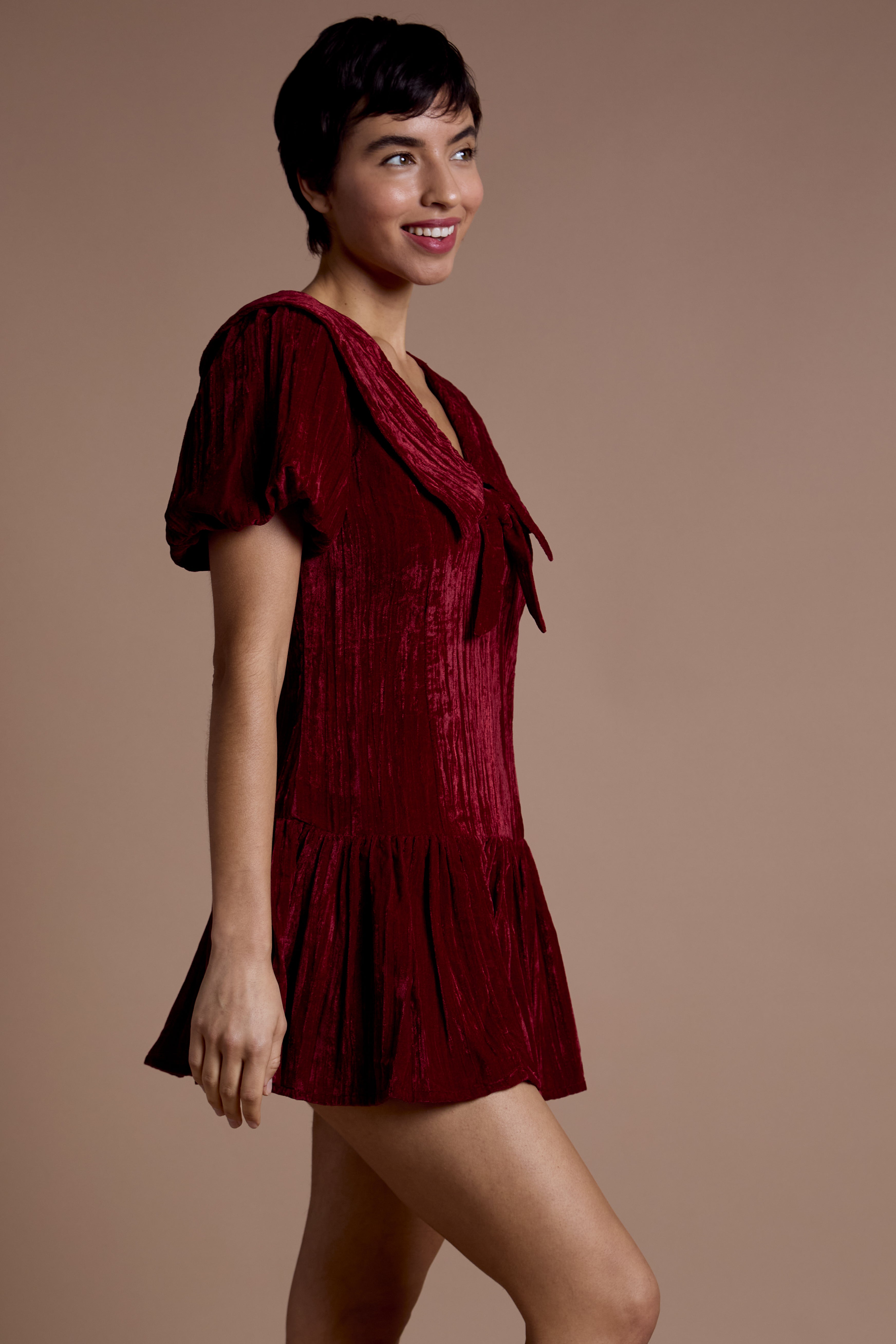 Sabrina Velvet Mini Dress