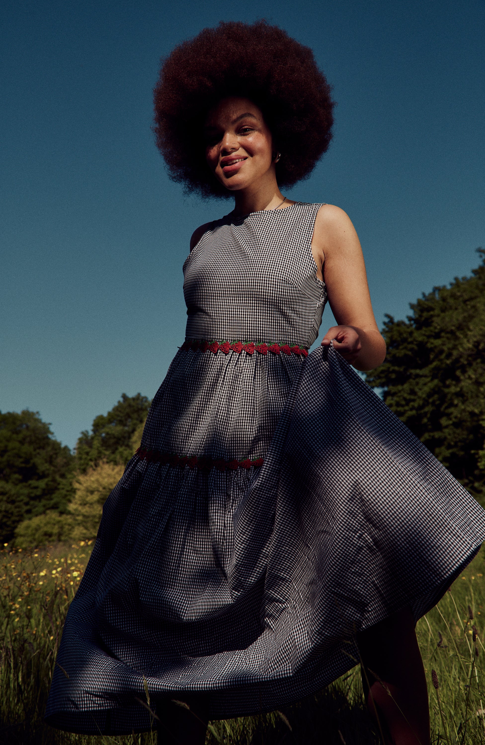 Theo Gingham Dress - Curve