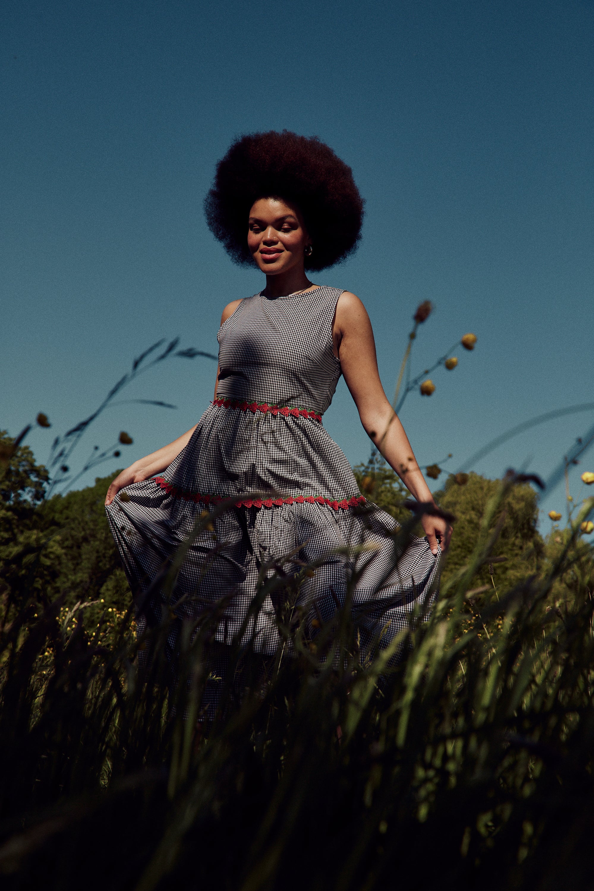 Theo Gingham Dress - Curve