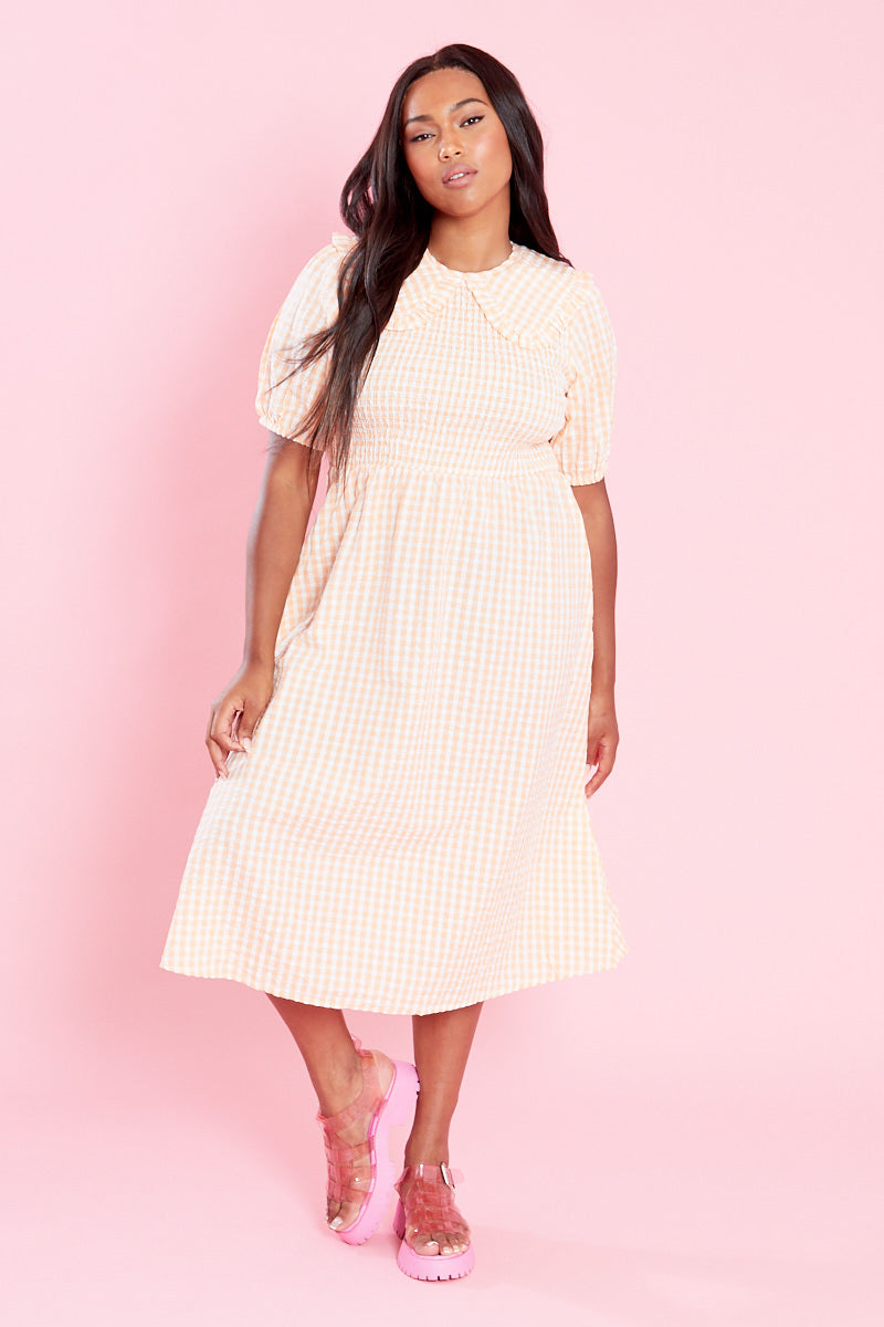 Nola Midi Dress with Collar - Curve