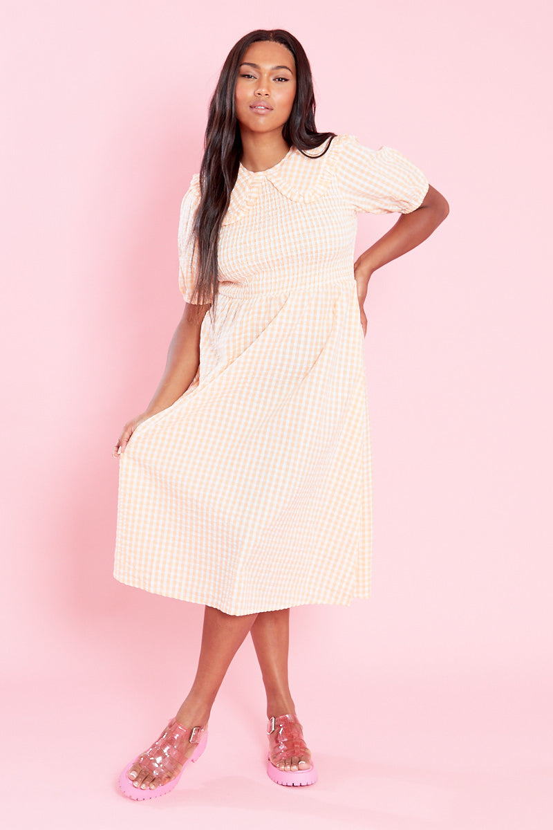 Nola Midi Dress with Collar - Curve