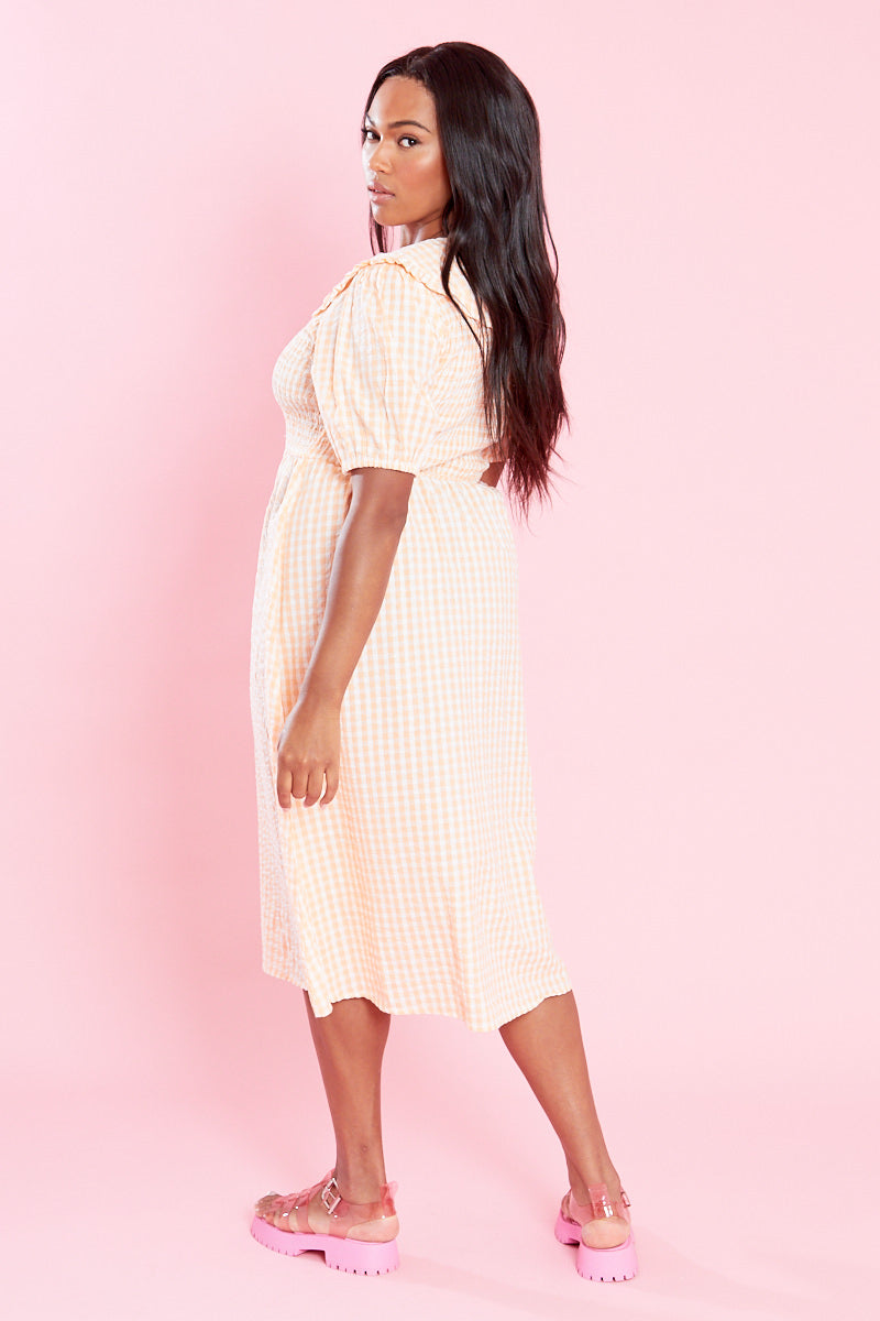 Nola Midi Dress with Collar - Curve