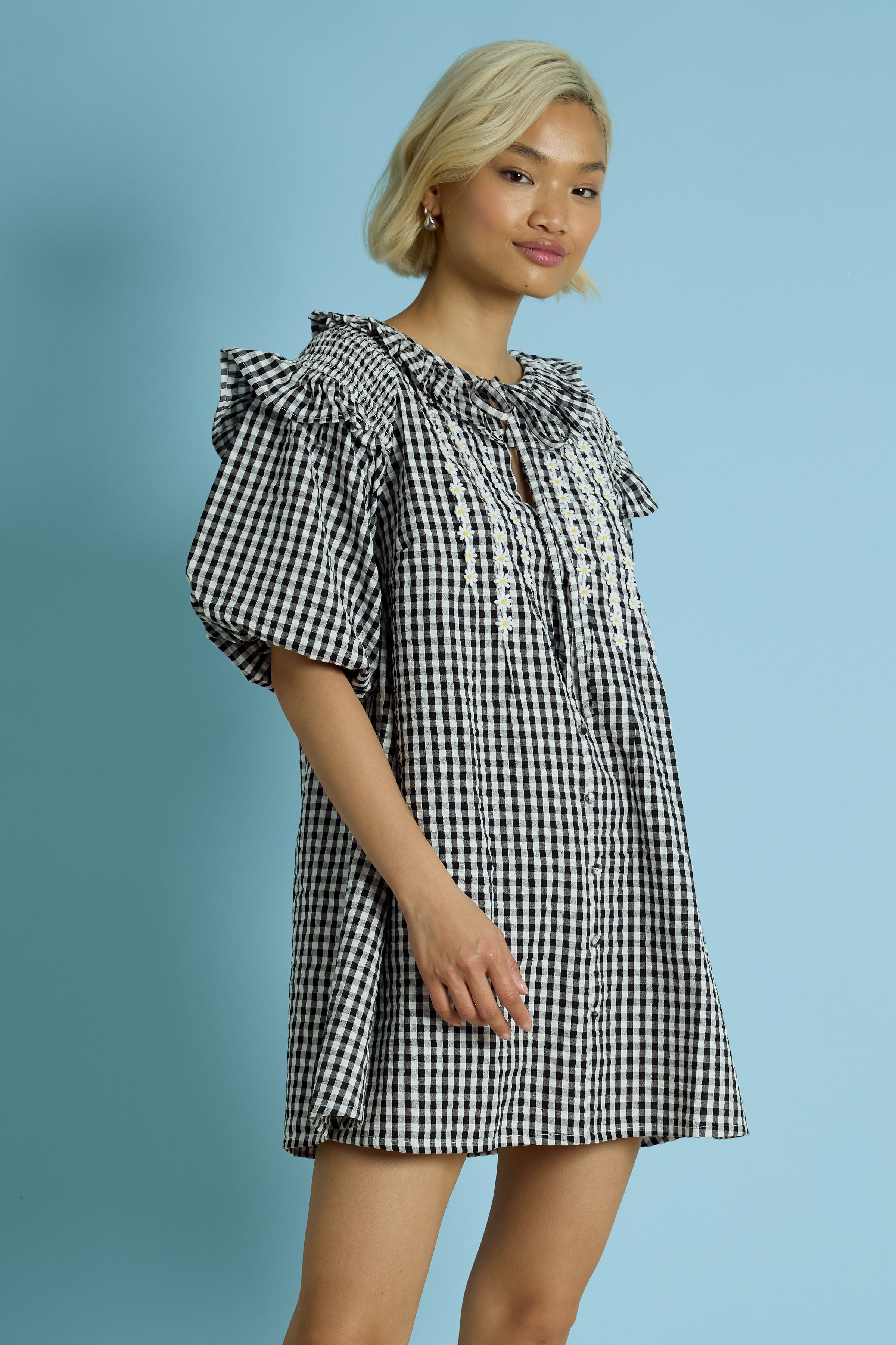 Josephine Gingham Dress