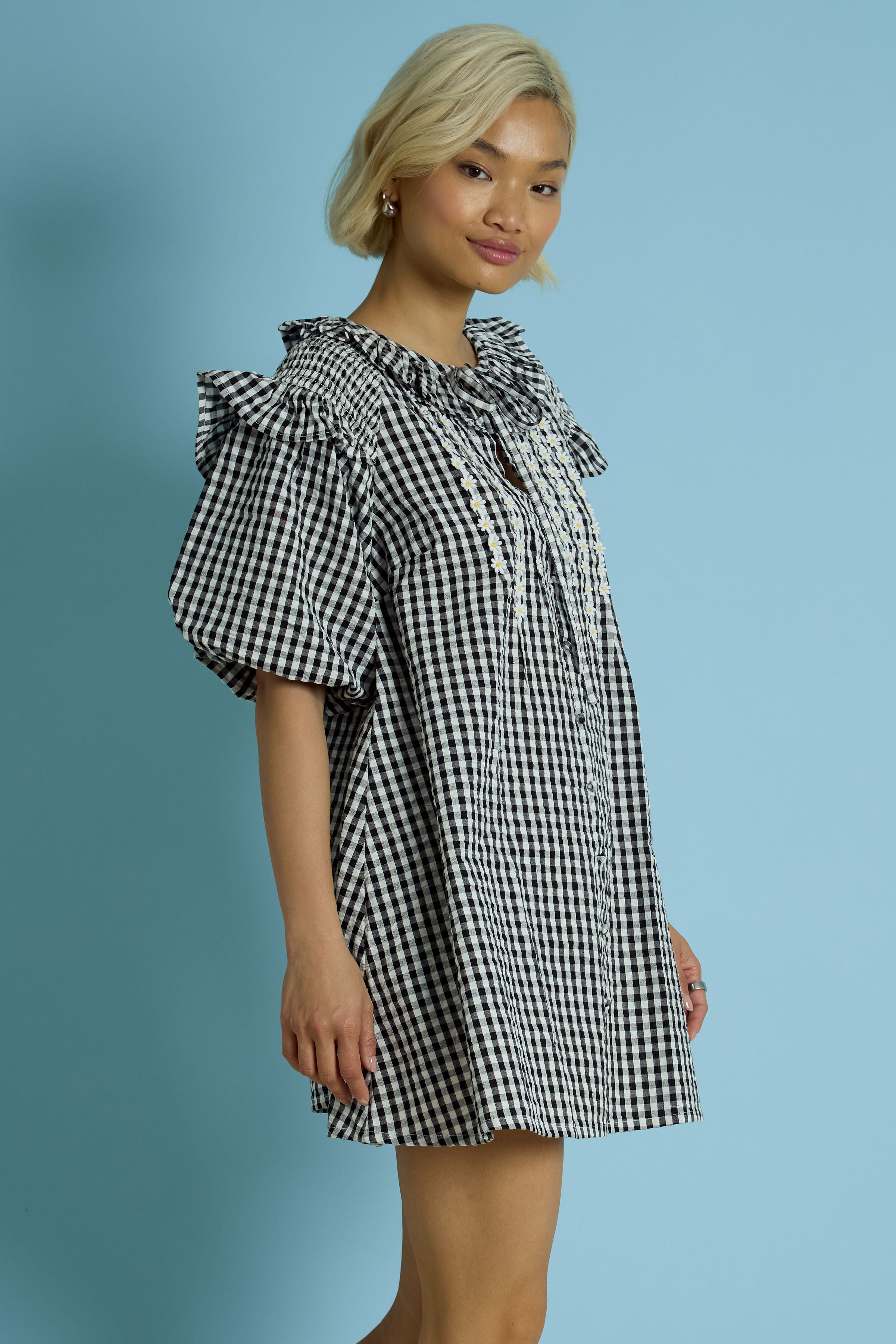 Josephine Gingham Dress