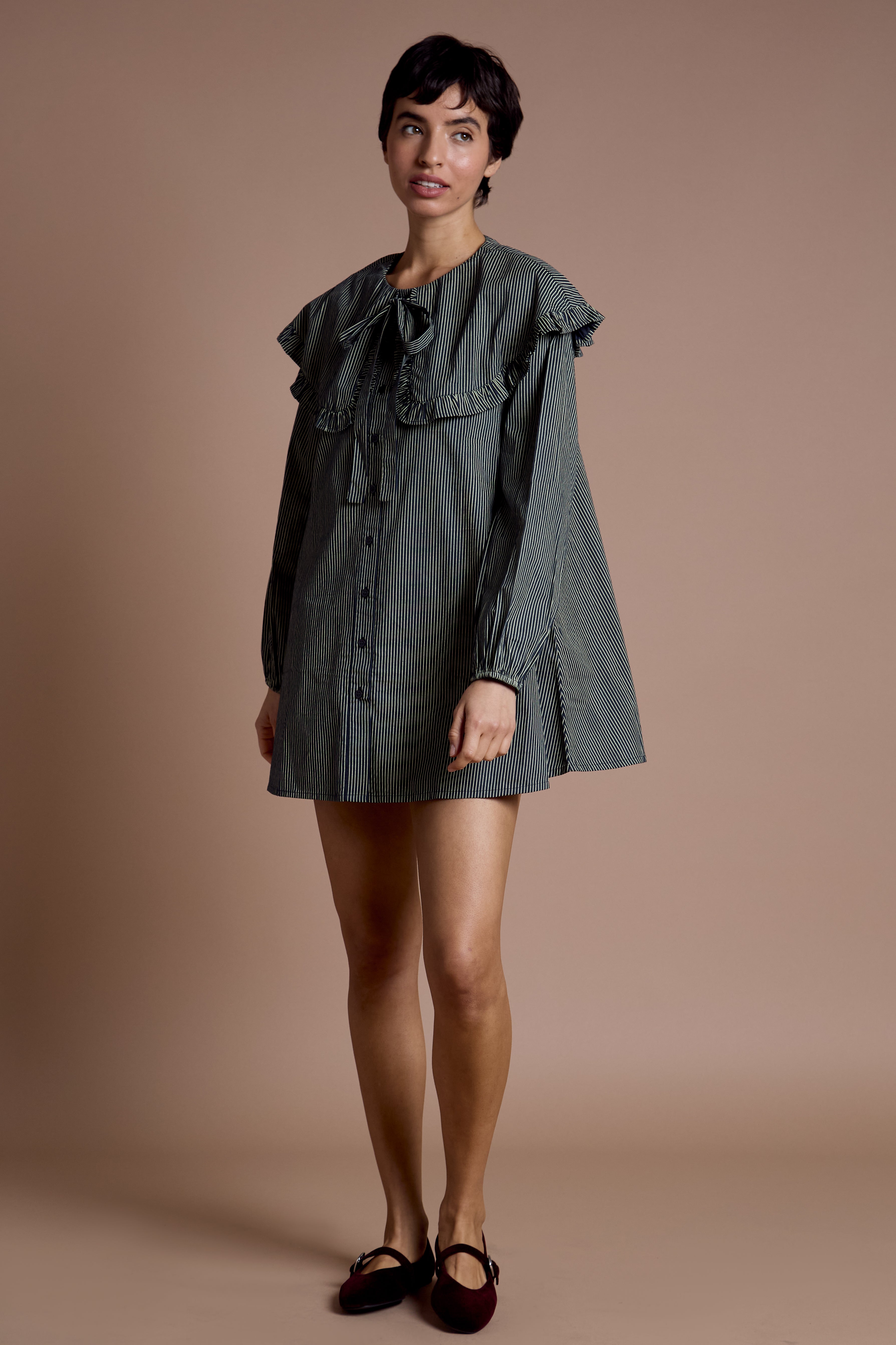 Sylvie Oversized Collar Dress