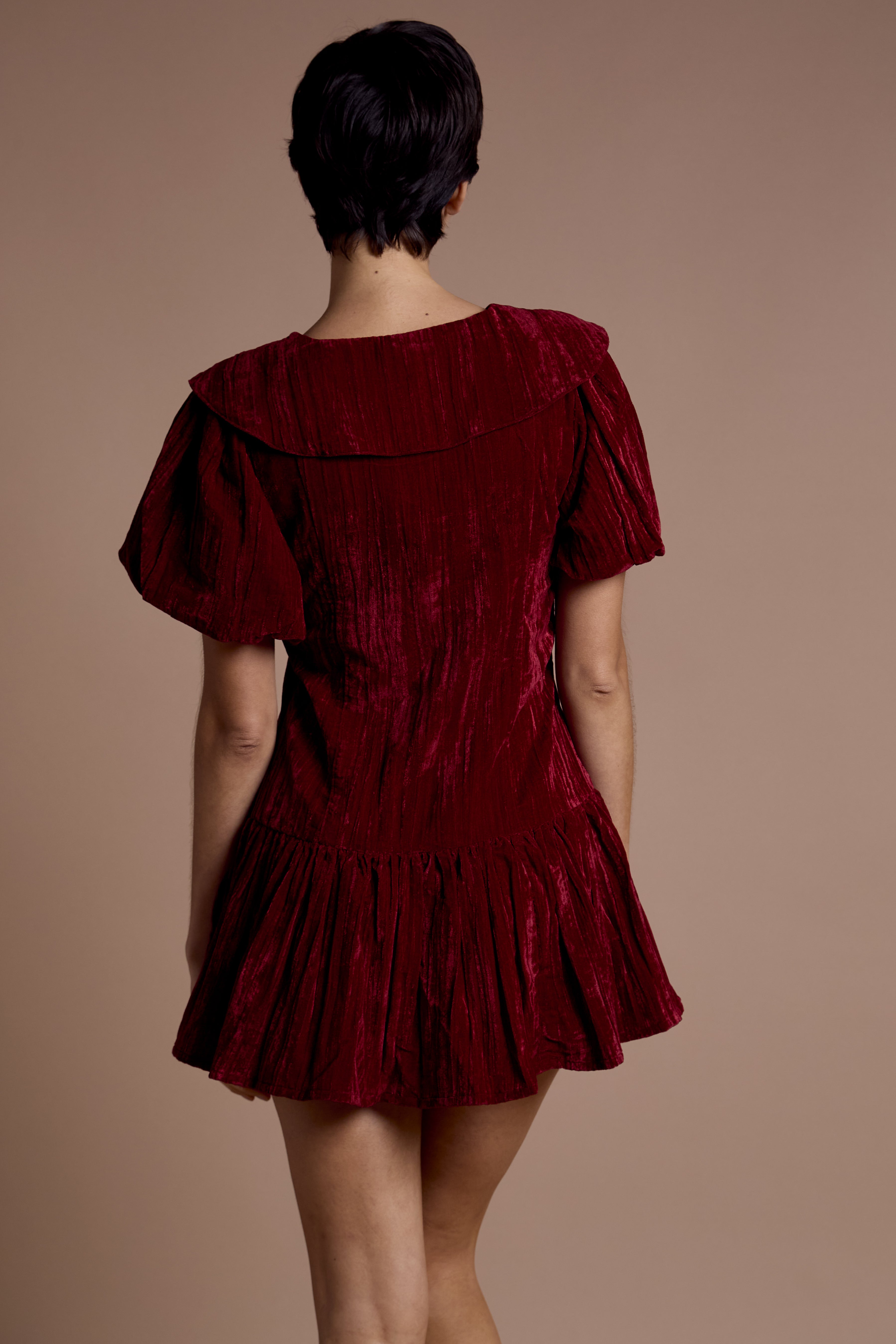 Sabrina Velvet Mini Dress