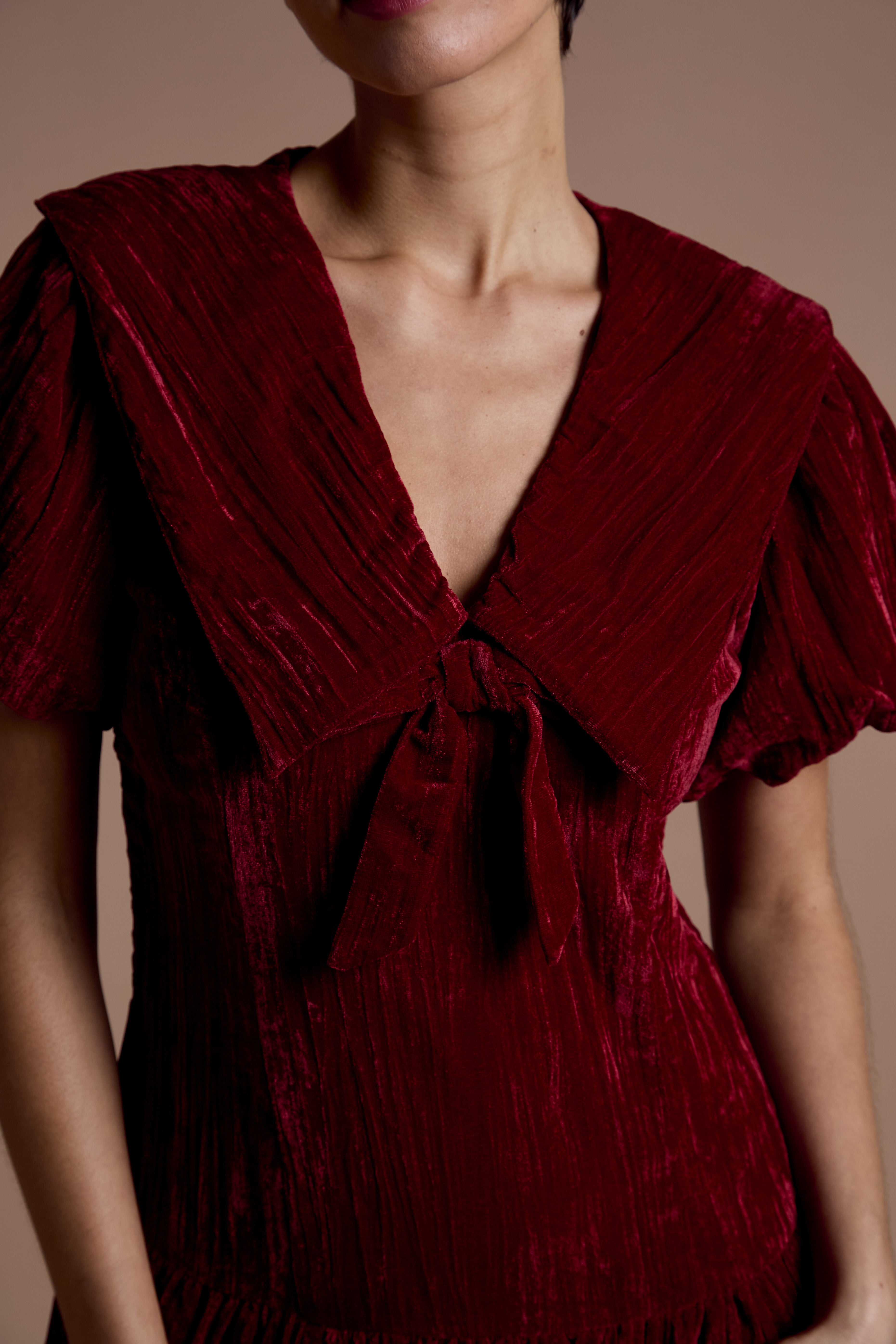 Sabrina Velvet Mini Dress