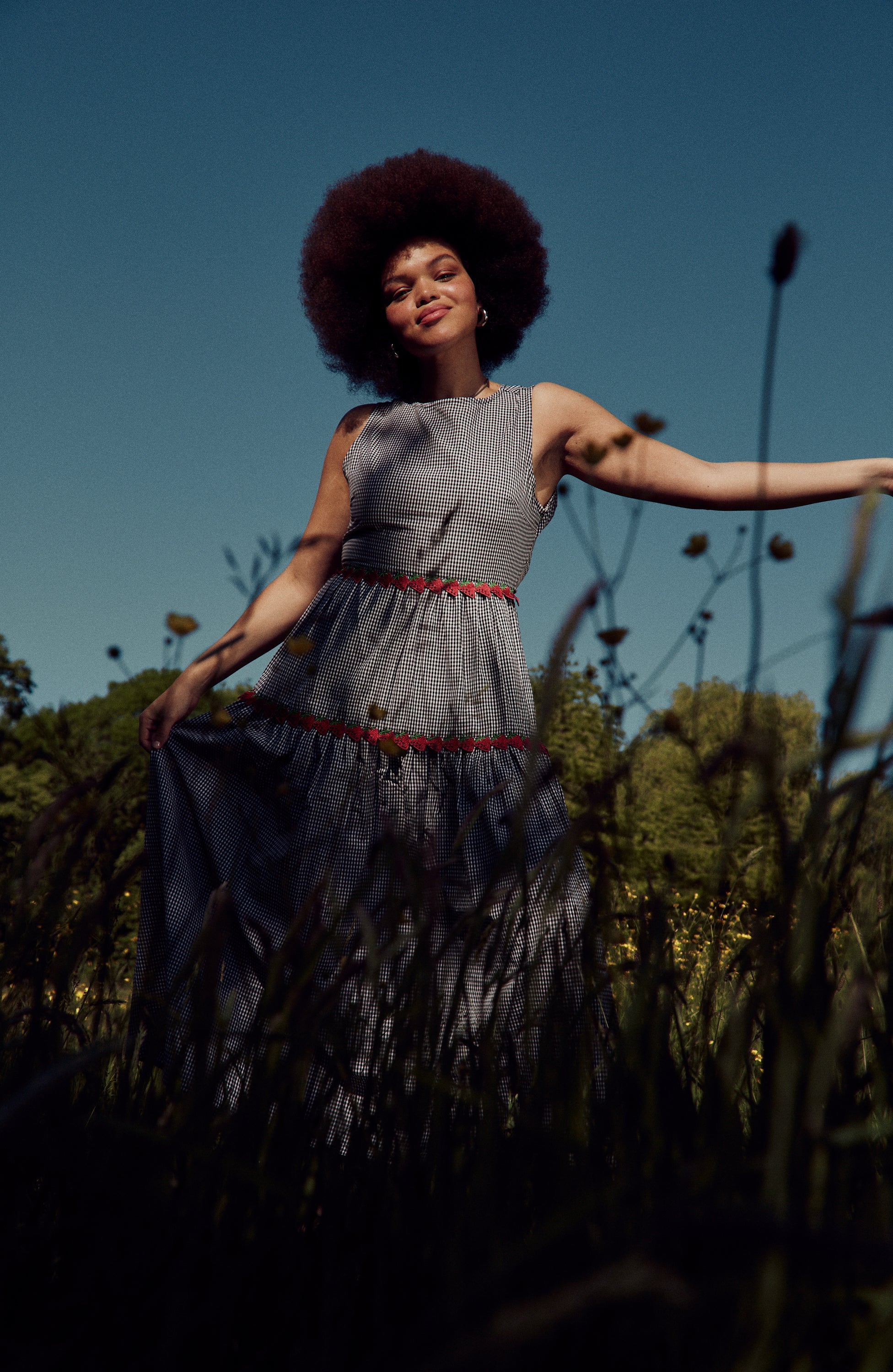 Theo Gingham Dress - Curve