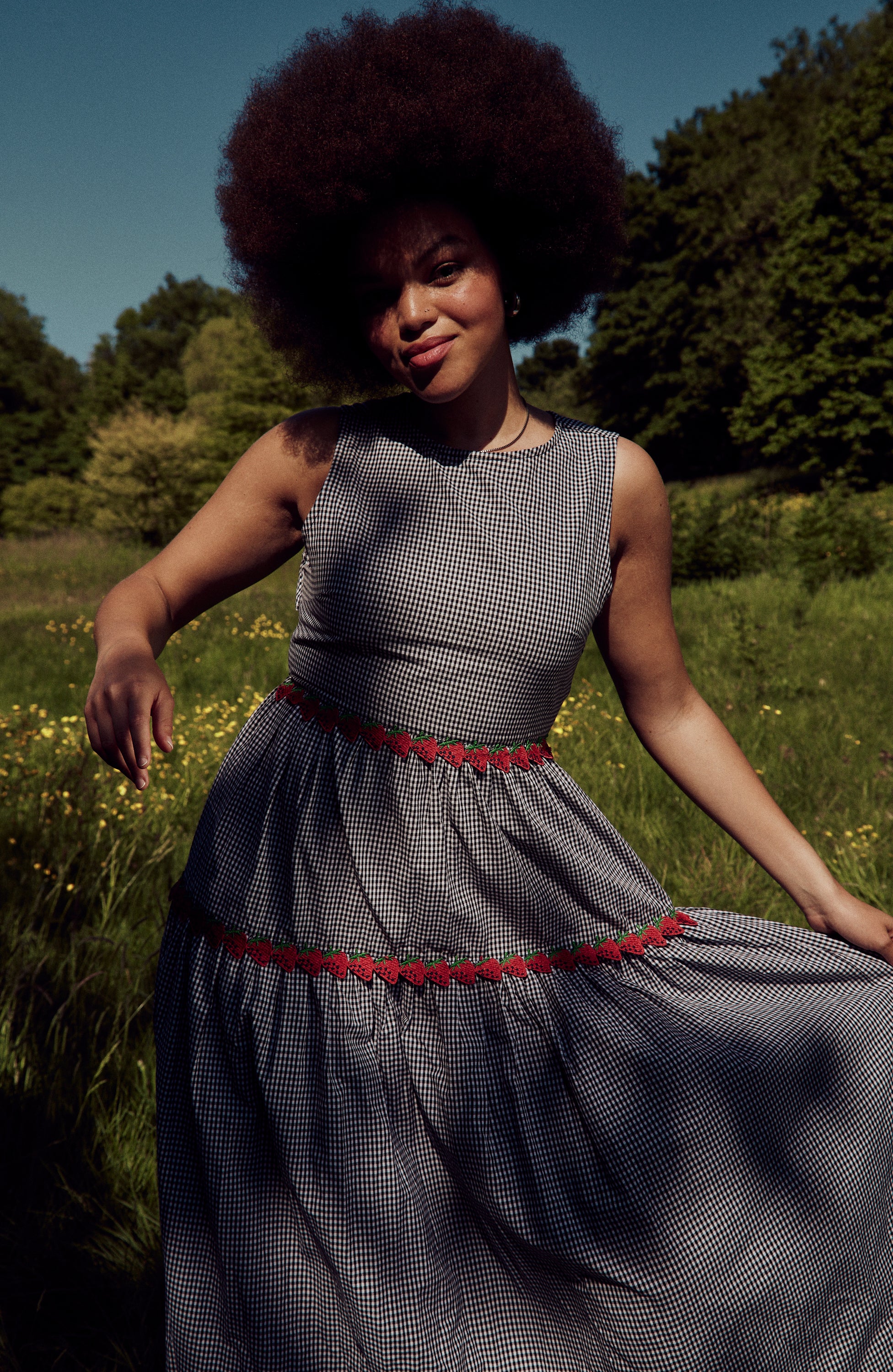 Theo Gingham Dress - Curve