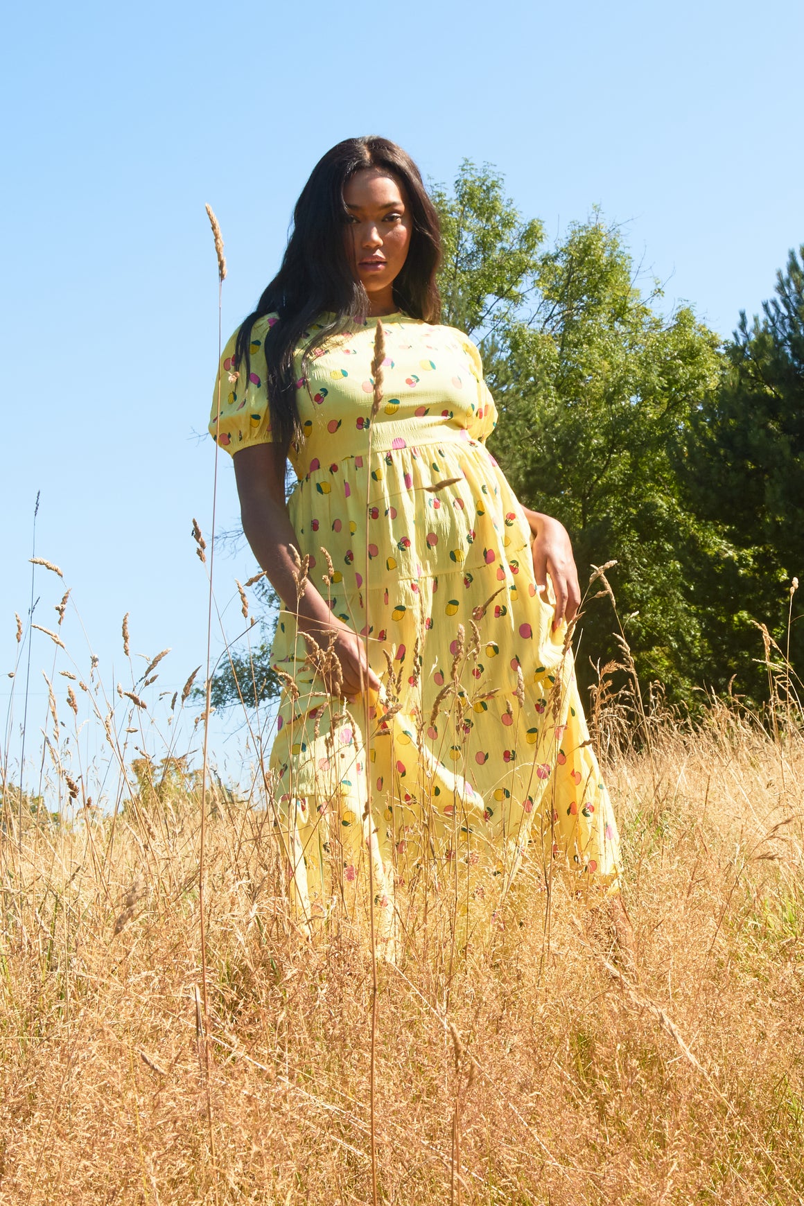Fruity Midi Dress - Curve
