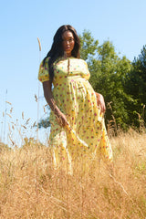 Fruity Midi Dress - Curve