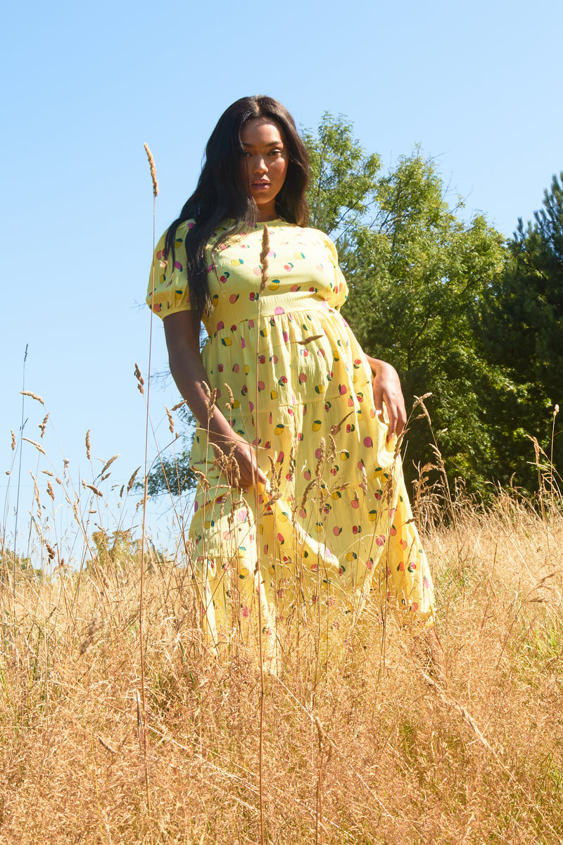 Fruity Midi Dress - Curve